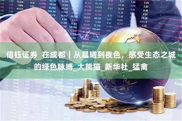 信钰证券  在成都｜从晨曦到夜色，感受生态之城的绿色脉搏_大熊猫_新华社_猛禽