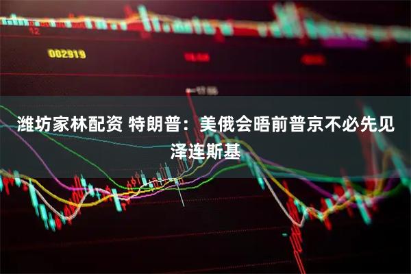 潍坊家林配资 特朗普：美俄会晤前普京不必先见泽连斯基