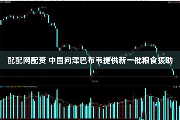 配配网配资 中国向津巴布韦提供新一批粮食援助