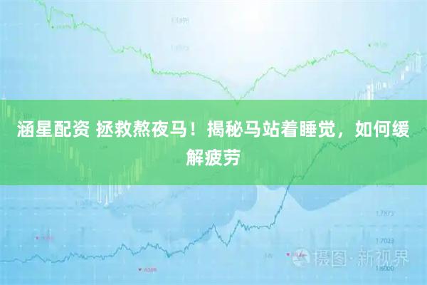 涵星配资 拯救熬夜马！揭秘马站着睡觉，如何缓解疲劳