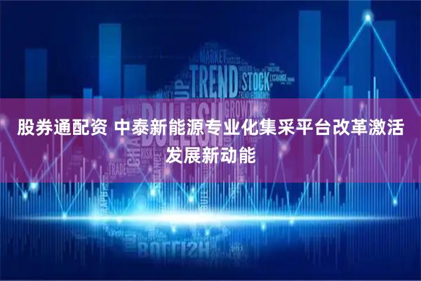 股券通配资 中泰新能源专业化集采平台改革激活发展新动能