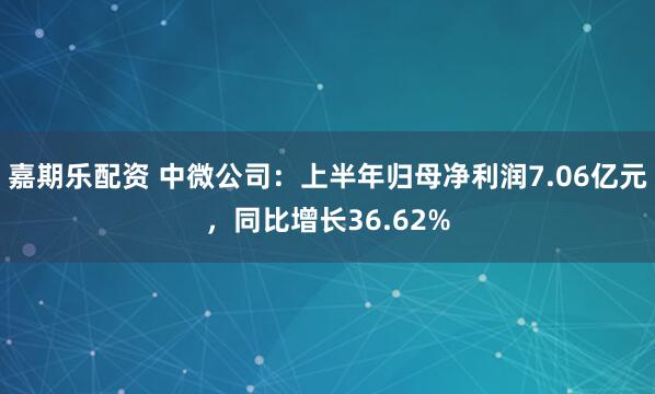 嘉期乐配资 中微公司：上半年归母净利润7.06亿元，同比增长36.62%