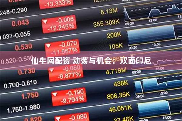 仙牛网配资 动荡与机会：双面印尼