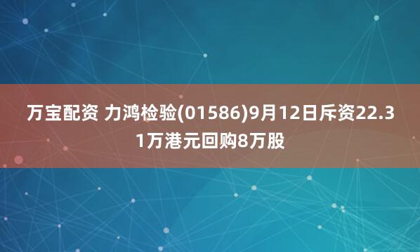 万宝配资 力鸿检验(01586)9月12日斥资22.31万港元回购8万股