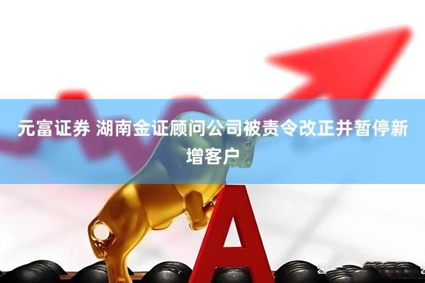元富证券 湖南金证顾问公司被责令改正并暂停新增客户