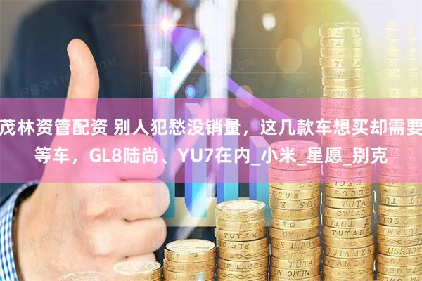 茂林资管配资 别人犯愁没销量,这几款车想买却需要等车,GL8陆尚、YU7在内_小米_星愿_别克