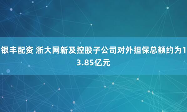 银丰配资 浙大网新及控股子公司对外担保总额约为13.85亿元