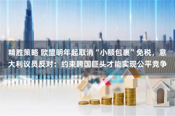精胜策略 欧盟明年起取消“小额包裹”免税,意大利议员反对:约束跨国巨头才能实现公平竞争