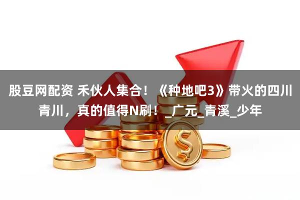 股豆网配资 禾伙人集合！《种地吧3》带火的四川青川，真的值得N刷！_广元_青溪_少年