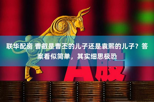 联华配资 曹叡是曹丕的儿子还是袁熙的儿子？答案看似简单，其实细思极恐